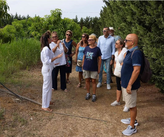 🌴 Mango Experience in Sicilia – Tour & Degustazione al frutteto Muzzikato