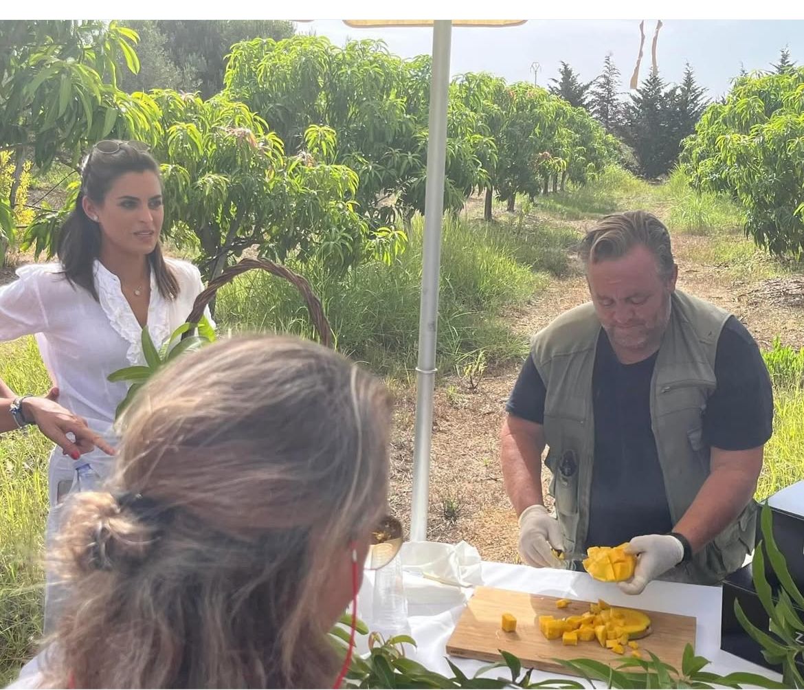 🌴 Mango Experience in Sicilia – Tour & Degustazione al frutteto Muzzikato