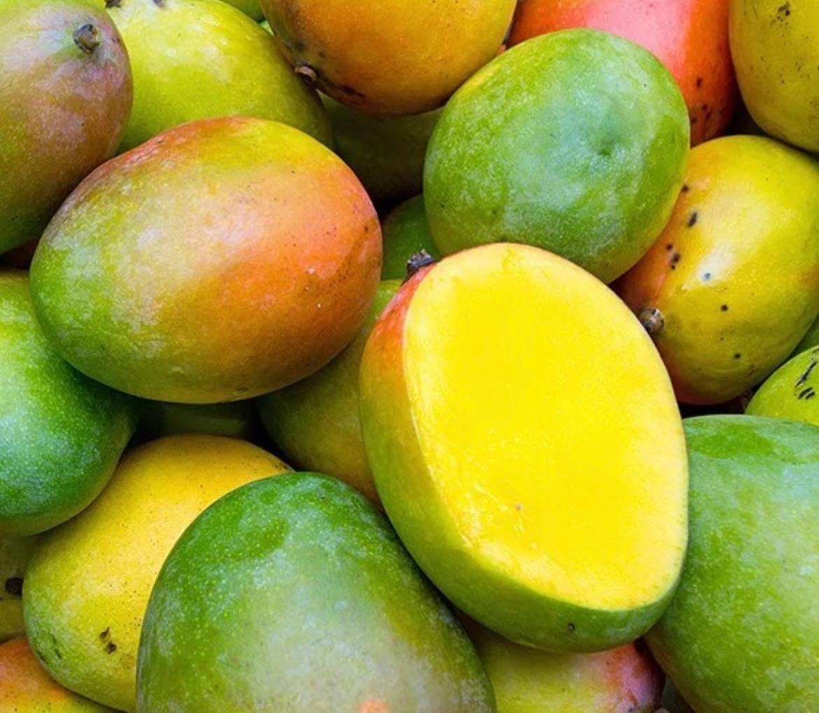 🌴 Mango Experience in Sicilia – Tour & Degustazione al frutteto Muzzikato